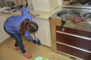 上海新聞,上海熱點,政務,金融,科創(chuàng)